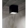 IDEAL-LUX Techo PL1 Big Lampada da soffitto da Esterno 5 colori