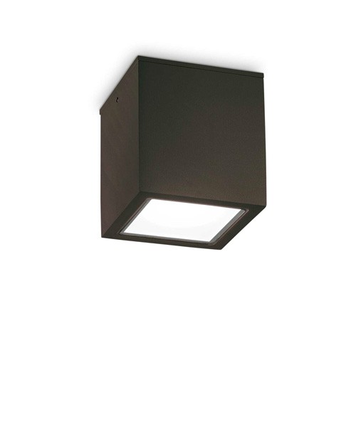 Techo plafoniera da esterno - Ideal Lux - Esterno - Progetti in Luce