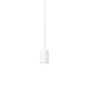 IDEAL-LUX Archimede SP Cilindro Lampada a sospensione LED 2 colori