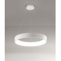 AFFRALUX Band Diodi 2071 Lampada a sospensione a Led D. 80cm 4 Colori