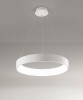 AFFRALUX Band Diodi 2071 Lampada a sospensione a Led D. 80cm 4 Colori
