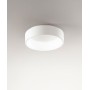 AFFRALUX Band Diodi 2073 Plafoniera a Led D. 45cm 4 Colori