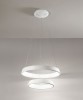 AFFRALUX Anelli Diodi 2053 Lampada a sospensione a Led D. 60cm e 40cm 2 Colori