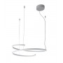 EXCLUSIVE LIGHT Elix S60 LED pendant lamp