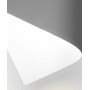 EXCLUSIVE LIGHT Folium A26 Lampada da parete a LED 2 colori