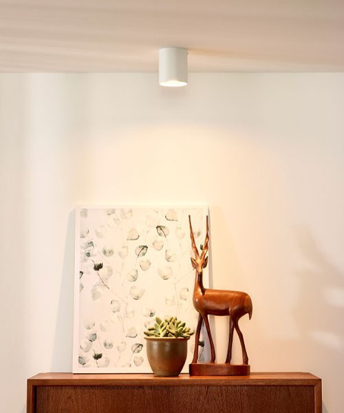 LUCIDE Bodi Faretto da soffitto Rotondo 2 Colori