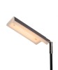 LUCIDE Aaron Floor Lamp in Led 4 Colors
