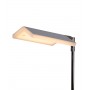 LUCIDE Aaron Floor Lamp in Led 4 Colors