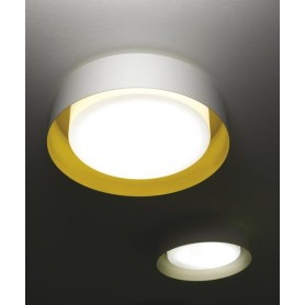 Micron Loop M5650 Lampada Soffitto/Parete 3 Luci 4 Colori