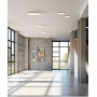 ACB London P376060B Lampada da soffitto Led 2 Colori