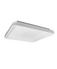 PROMOLUCE BOARD Q50 LED Ceiling Lamp