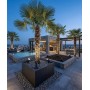 SOVIL FLORA 98403 Adjustable Outdoor LED Spotlight with Spike 3000K