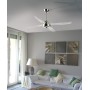 ITALEXPORT Libellula Ventilatore Senza Luce 4 Pale D.127cm 3 Colori