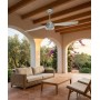 ITALEXPORT Libellula Ventilatore da Soffitto Senza Luce 2 Pale D.127cm 3 Colori