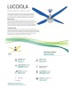 ITALEXPORT Lucciola Ventilatore da Soffitto LED 4 Pale D.127cm 4 Colori