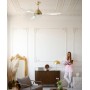 ITALEXPORT Remida Ceiling Fan with Light 3 Blades 2 Colors