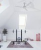 ITALEXPORT Ghost Ceiling Fan Without Light 3 Blades 2 Colors