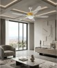 ITALEXPORT Effecinque White Ceiling Fan with Light 5 Blades D.127cm 3 Colors