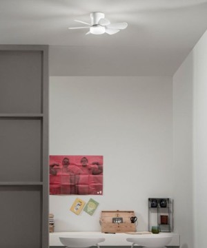 INTEC WIND SMART LED Ceiling Fan with 2-Color CCT