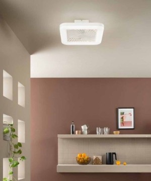 INTEC MERAK SMART RGB LED Ceiling Fan with Rainbow Effect and CCT